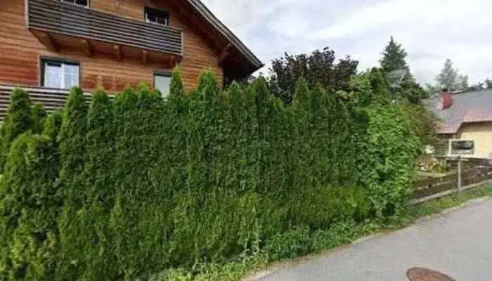 Salzburger Erneuerbare Energie Genmbh Alle - Grödig