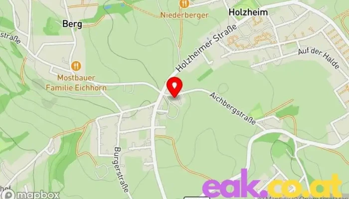 Sanserv Gmbh Karte - Leonding