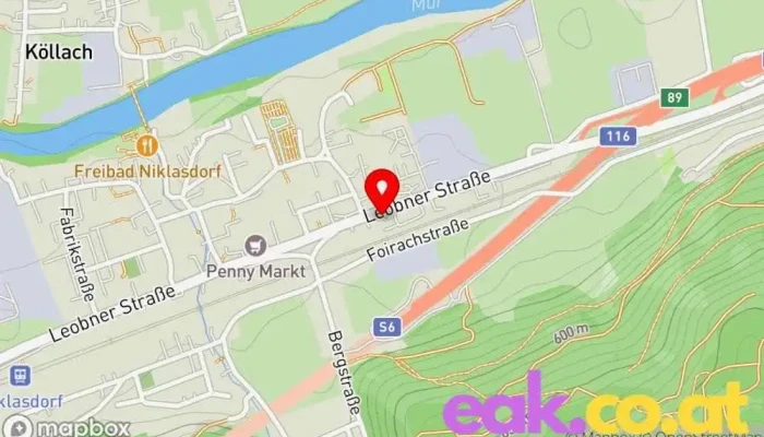 Smatrics Ladestation Karte - Niklasdorf