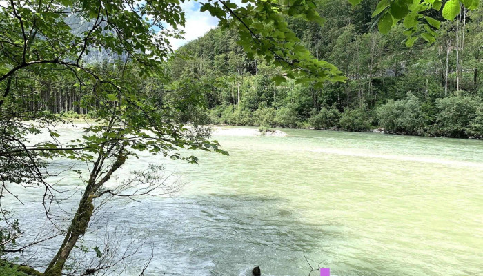 Themenweg „Lettmair Au“ - Österreich