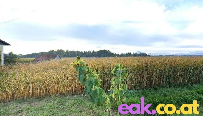 Wasserkraftwerk - Desselbrunn