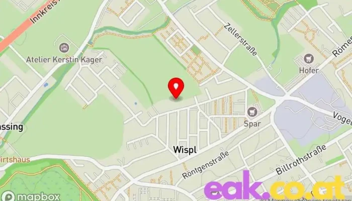 Wispl -  Karte - Wels